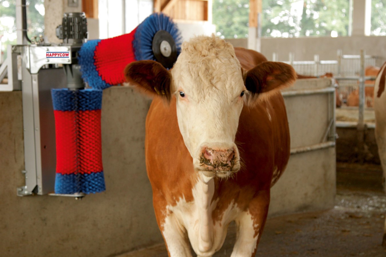 Happycow Kuhbürsten-Duo