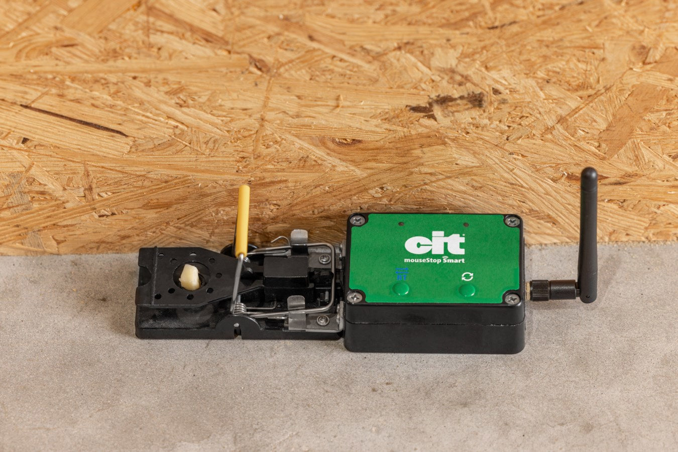 Mausefalle Smart Cit Mousestop