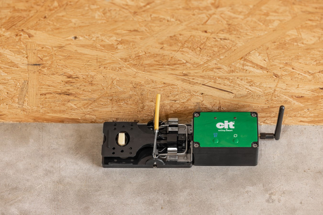 Rattenfalle Smart Cit Ratstop