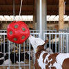 Roter Futterball