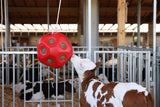 Roter Futterball - afbeelding 5