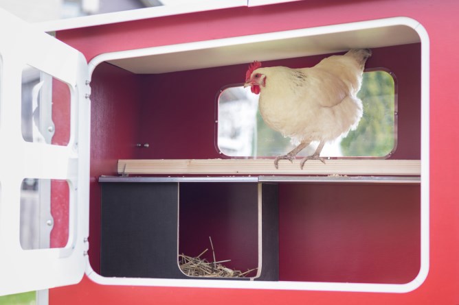 Mobilecoop Hühnerstall aus Holz