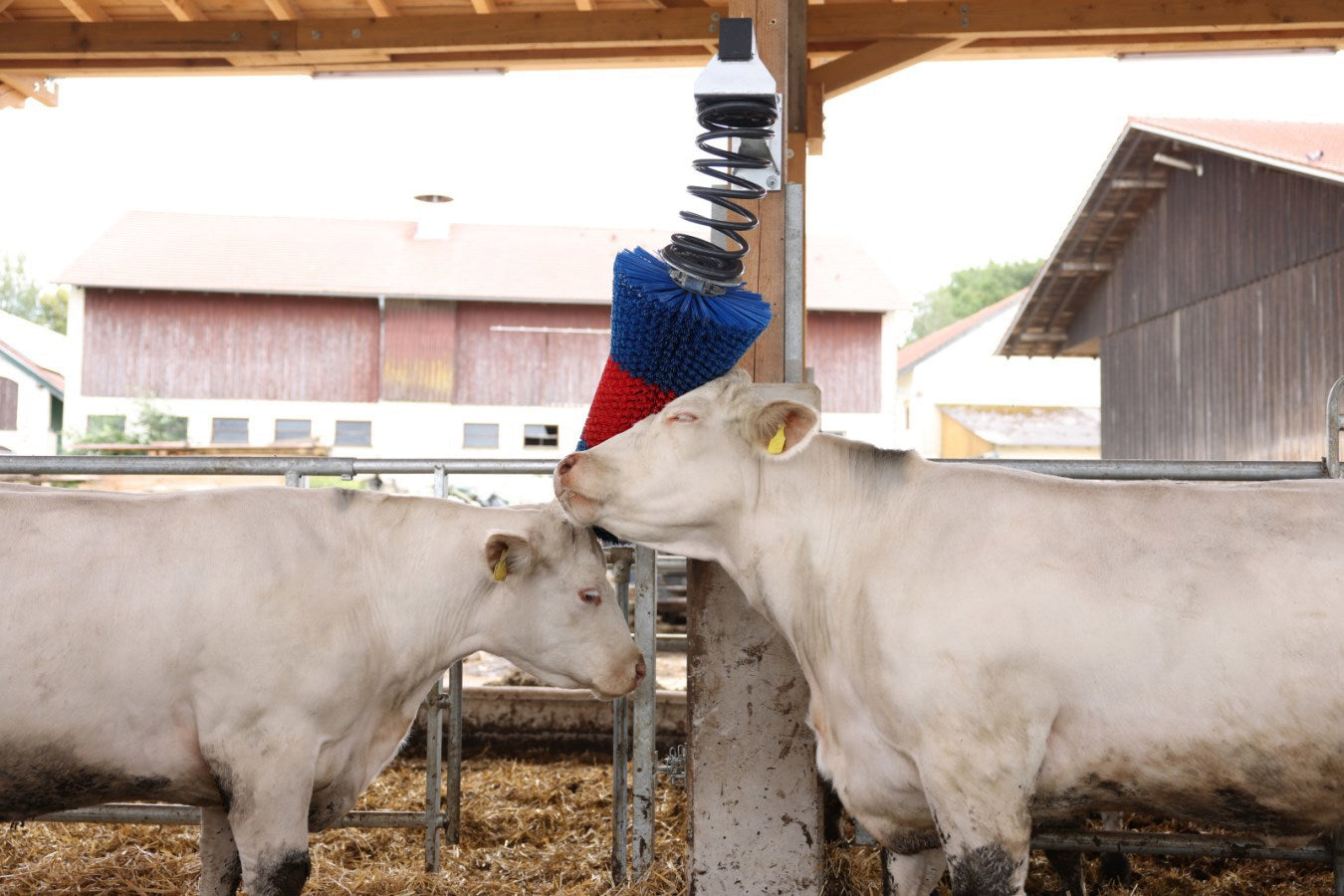 Happycow Rinderbürste Flexiswing