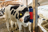 Halbrunde Kuhbürste Rinderbürste Blau-Rot XL - afbeelding 6
