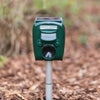 Tierscheucher Sonicflash Solarenergie
