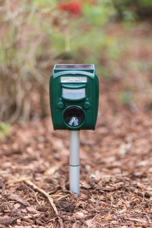 Tierscheucher Sonicflash Solarenergie