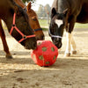 Roter Futterball