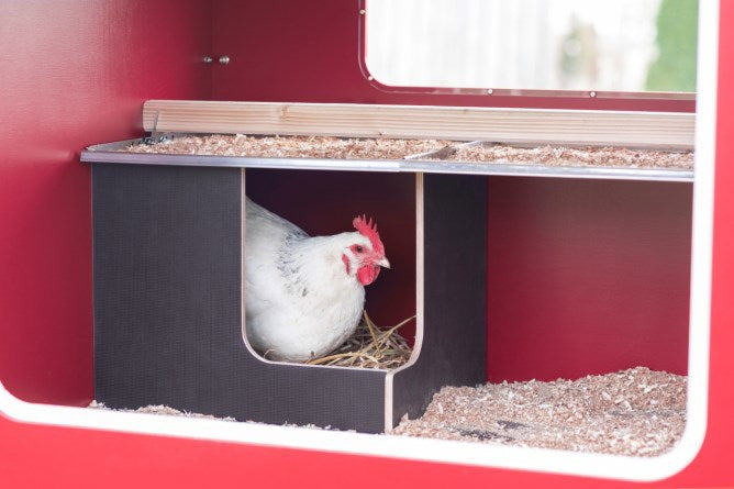 Mobilecoop Hühnerstall aus Holz