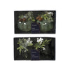 Decoris Weihnachtsanhänger-Ornament-Set bestehend aus 2 Stück ø8cm