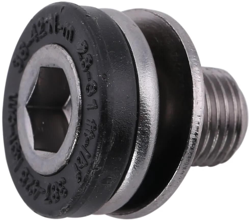 Stronglight Crank Bolt M10x100 Stück