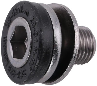 Stronglight Crank Bolt M10x100 Stück