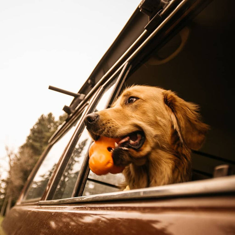 West Paw West Paw Hundespielzeug mit Zogoflex Tux L Mandarin Orange