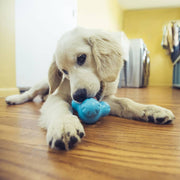 West Paw West Paw Hundespielzeug mit Zogoflex -Tux S aquaflaw - afbeelding 1