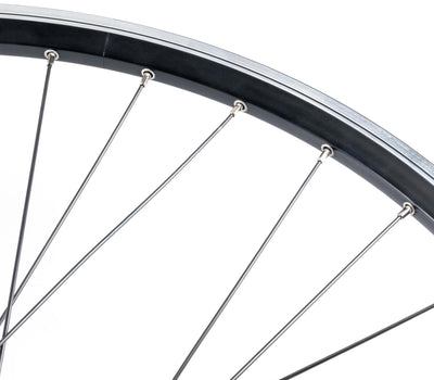 Contec Vorderrad Classic Z19 + Shimano Dh-C3000 Vorderrad 28 Sp.Sw 2.00