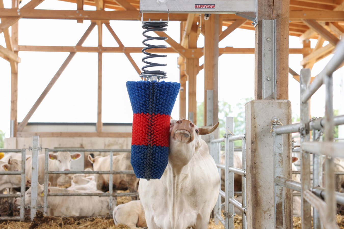 Happycow Rinderbürste Flexiswing