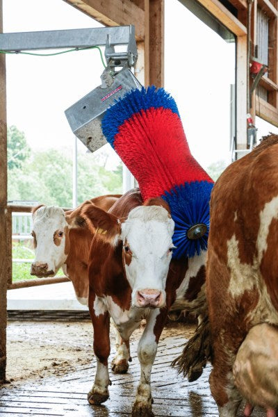 Happycow Kuhbürste Maxiswing