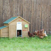 Automatisches Hühnertür-Set 30x40cm