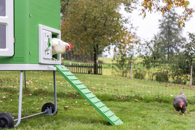 Mobilecoop Hühnerstall aus Kunststoff