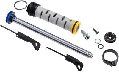 Rockshox RS Druckstufe Rec Shec Shemote 10 mm Schub