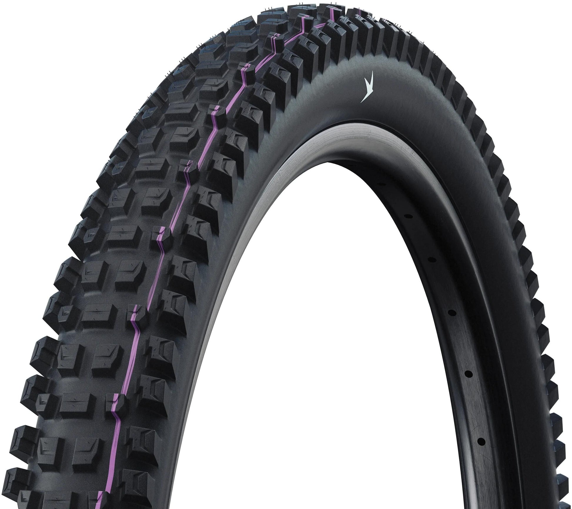 Schwalbe Tire 29 Albert Gravity Pro