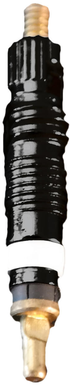 Schwalbe Ventil Bühne schwarz