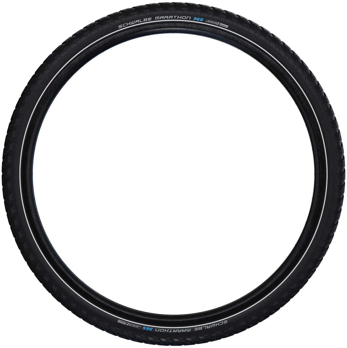 Schwalbe