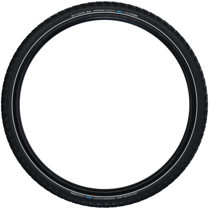 Schwalbe