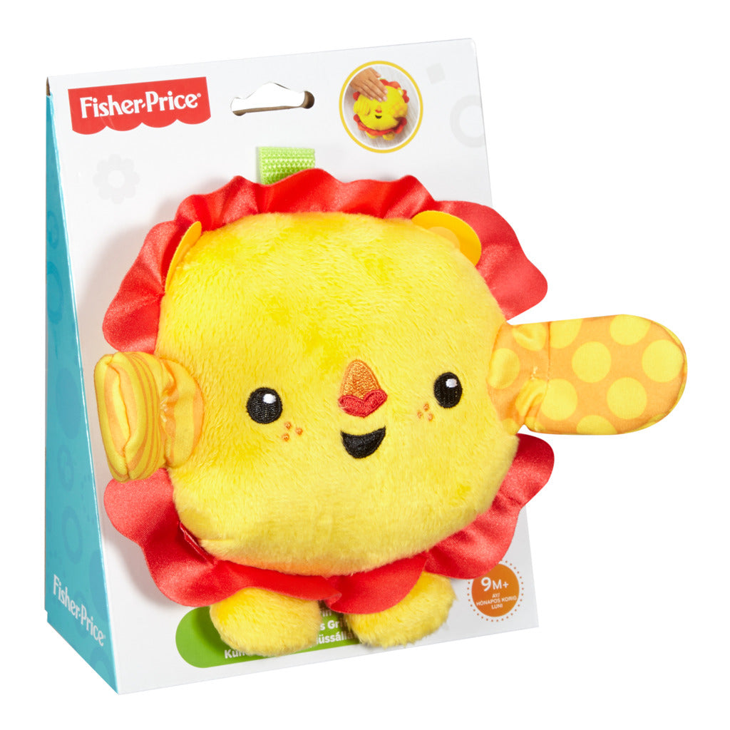Fisher Price Kiekeboe Umarmung mit Ton