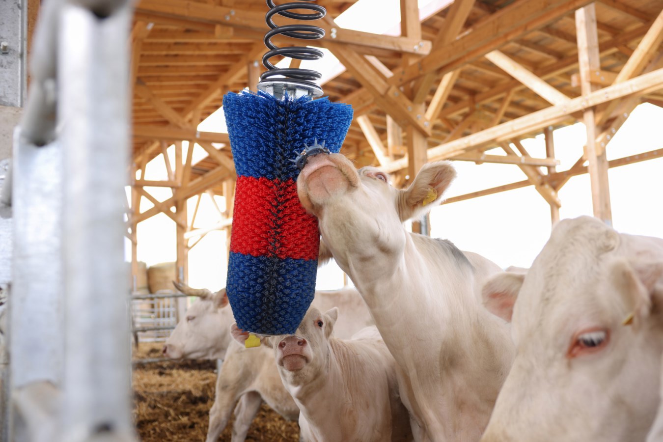 Happycow Rinderbürste Flexiswing