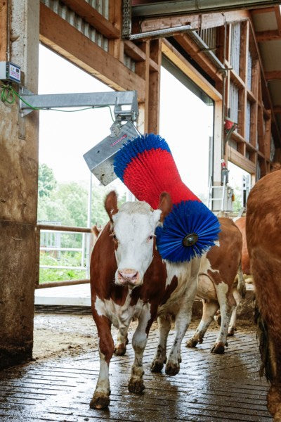 Happycow Kuhbürste Maxiswing