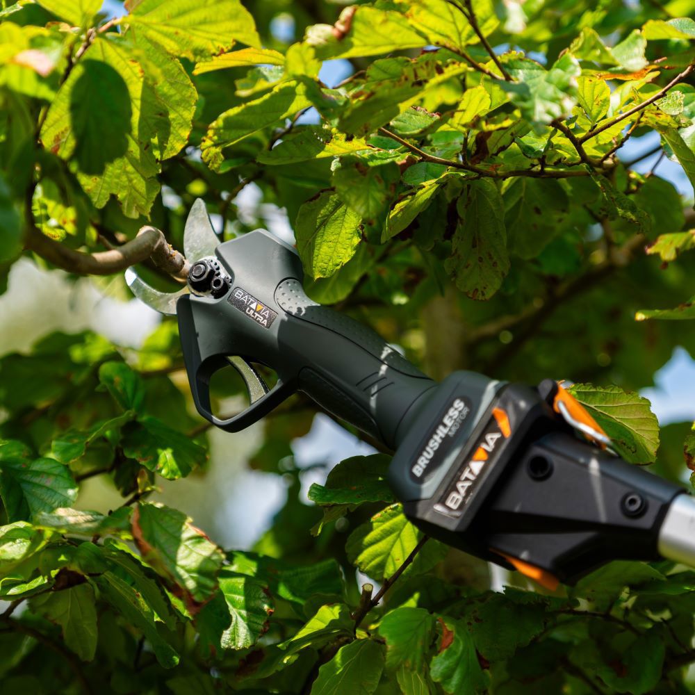 Ac maxxpk Ultra Gartenschere Batavia 18V bürstenloser Körper