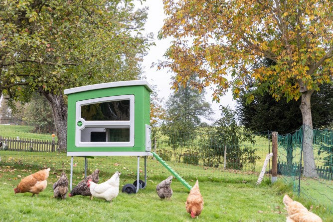 Mobilecoop Hühnerstall aus Kunststoff