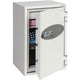 Datensafe Phoenix Data Combi DS2502K weiß
