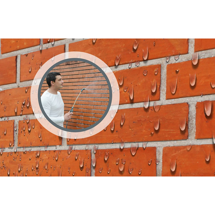 Rubson 1001477 – transparente Feuchtigkeitsbarriere 5,5 l | 2 Stk