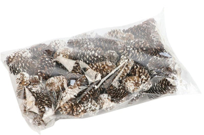 HBx natürliches Wohndekorationsset Tannenzapfen Mini 180gr