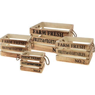 Box -Set von 4 Paulownia Holz
