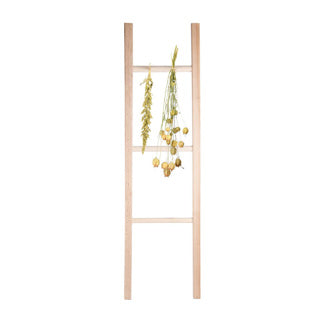 Blumen und Kräuter trockene Leiter