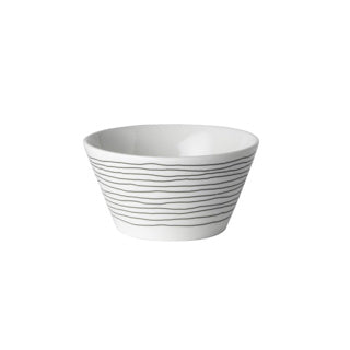 Niederländische Rose Amsterdam Loft COW 10 cm White Stripe Schwarz