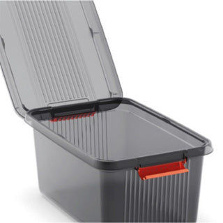Kis K Latch -Speicherboxen mit Deckel 14 L transparent