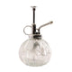EsssCert Design Pflanze Spray Clear Glass