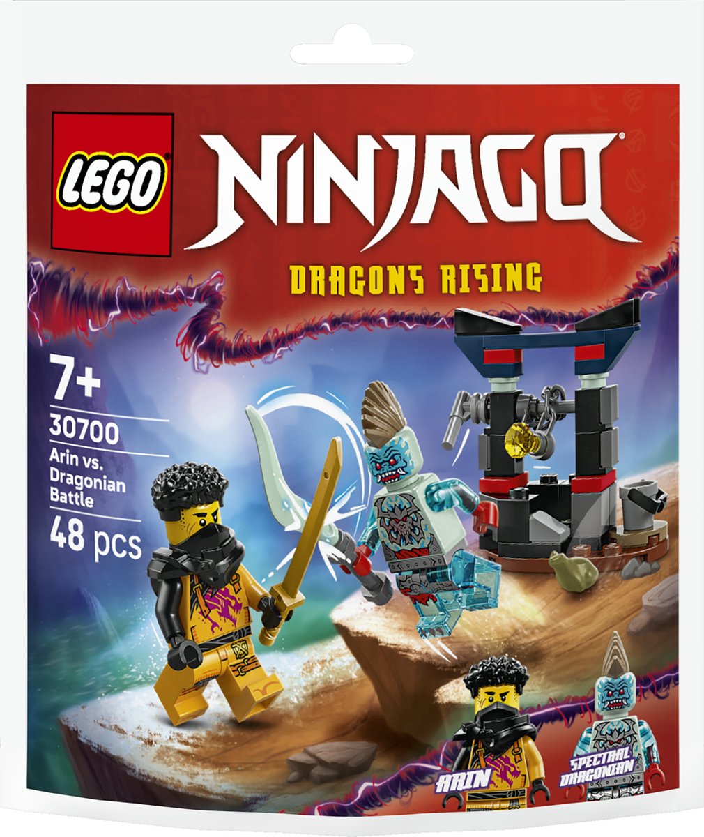 Lego Ninjago 30700 Arin gegen Draconier