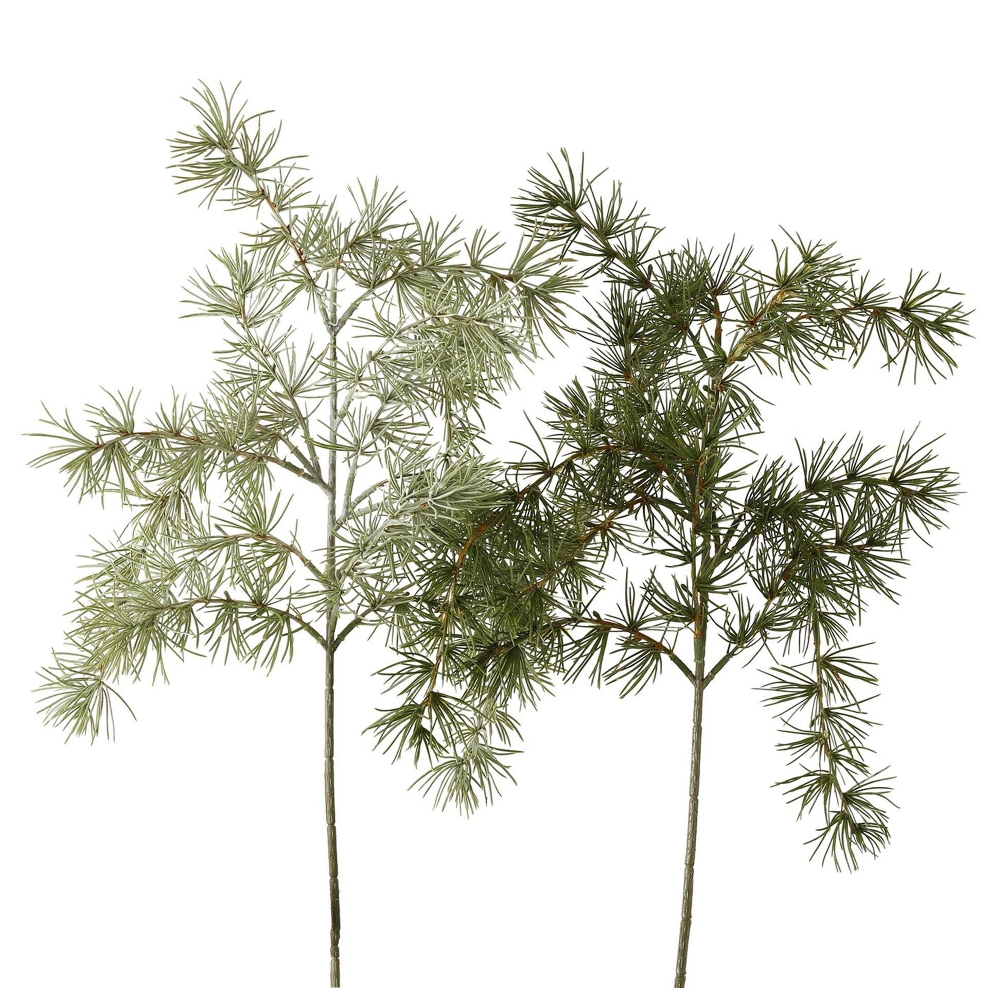 Boltze Wohndeko Ast Kiefer h62cm