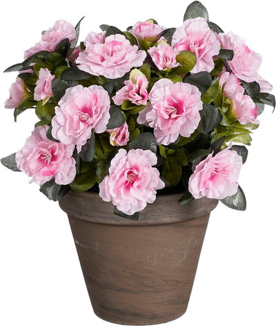 Glimmerdekorationen Kunstpflanze – Azalee – rosa – im Topf – 31 cm – Kunstpflanzen