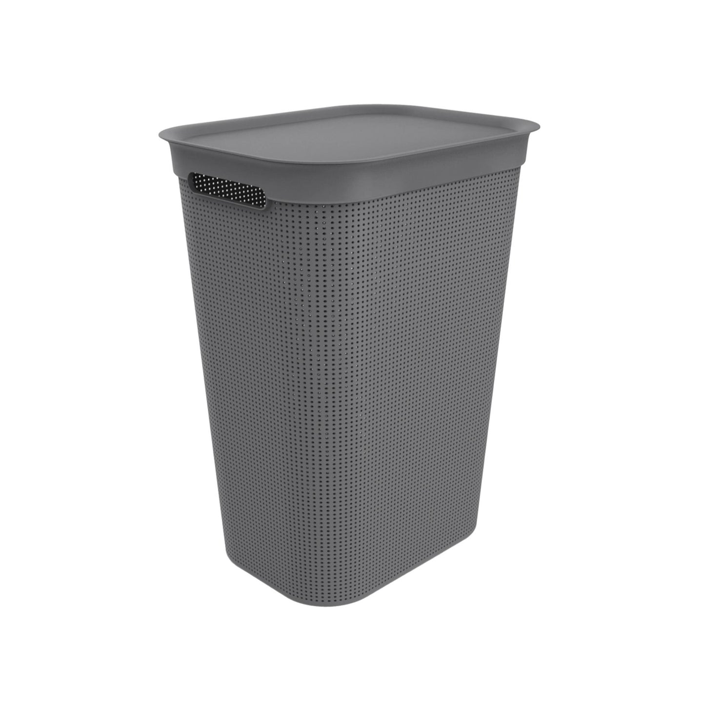Rotho Fabis -Sammler Brisen 50L Anthrazit