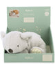 Kaloo petit songe – schwerer Koala