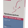 Exil Flohfreie Fipralone-Katze