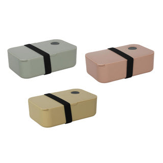 Lunchbox 19.5x11.5x6.5cm Assorti