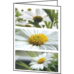 Grußkarten Sigel DC171 Blumen universal 220 g m² sortiert 25 Stück