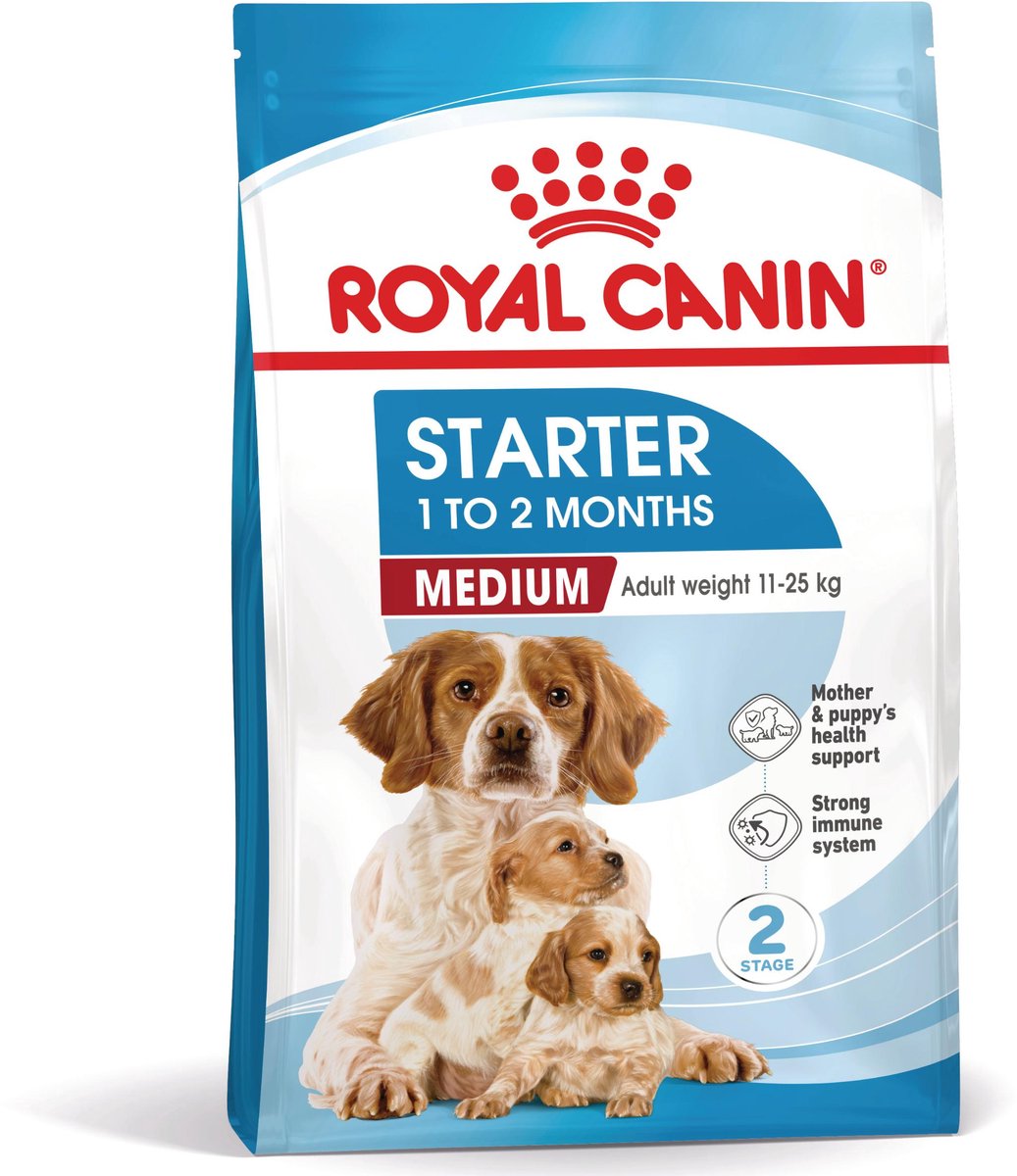 Königlicher Hund