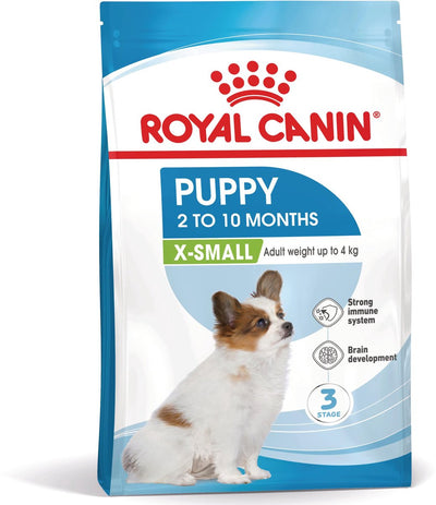 Königlicher Hund